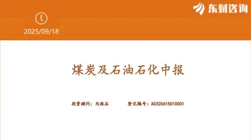 煤炭及石油石化中报