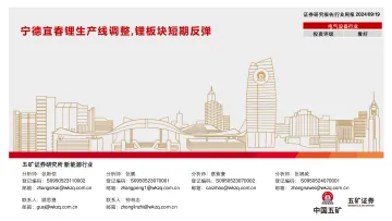 电气设备行业行业周报：宁德宜春锂生产线调整，锂板块短期反弹