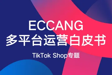 多平台运营白皮书-TikTok Shop专题