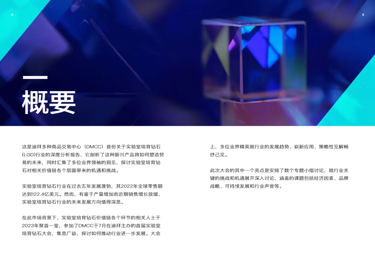 DMCC2023贸易的未来实验室培育钻石特别版15页_大数跨境