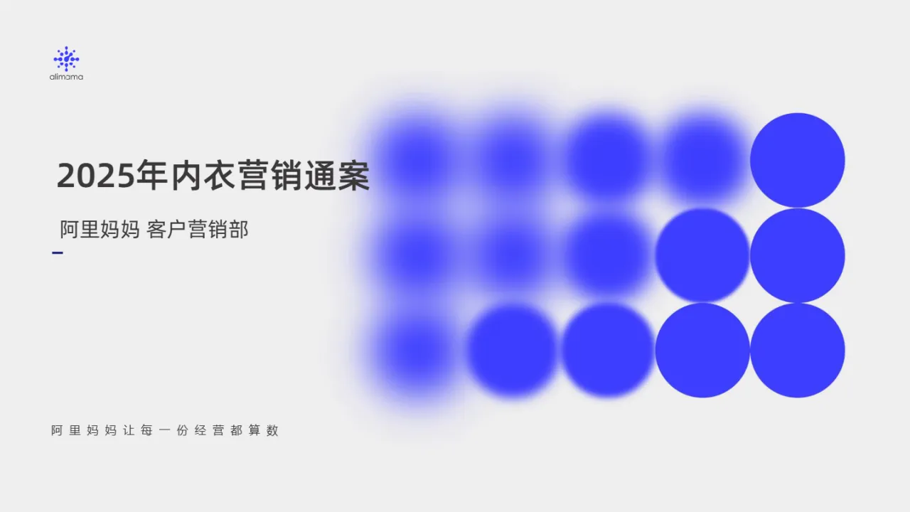 阿里妈妈2025内衣营销通案45页_大数跨境