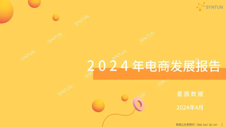 2024年电商发展报告