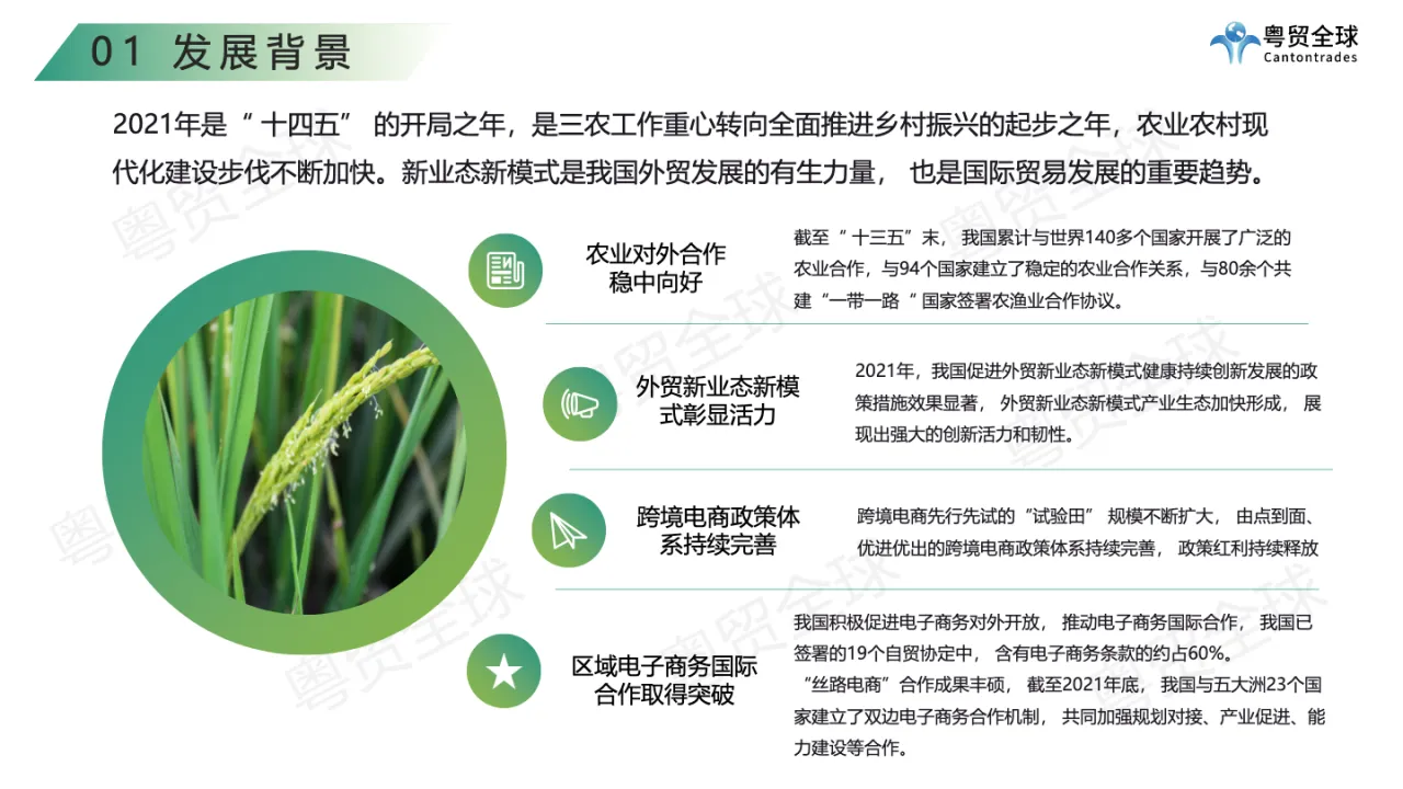 2023中国农产品跨境出海调研报告 - 跨境电商报告 - 大数跨境