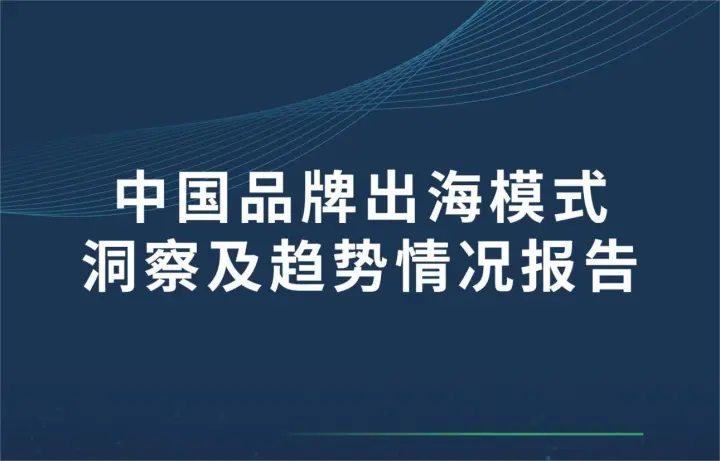 中国品牌出海模式洞察及趋势<em>情况</em>报告