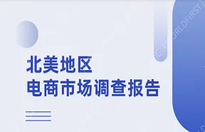 北美地区电商市场调查报告