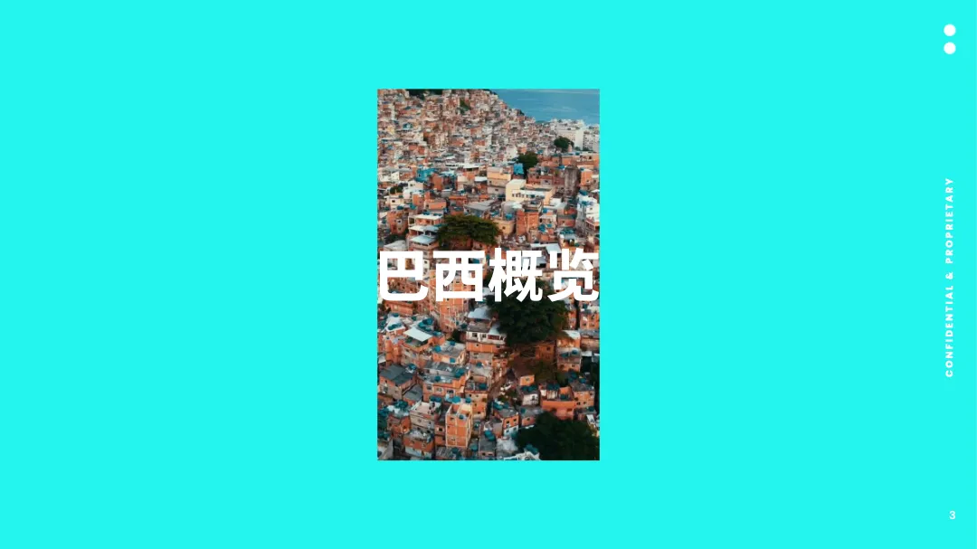 2024全球市场百宝书-巴西篇_大数跨境
