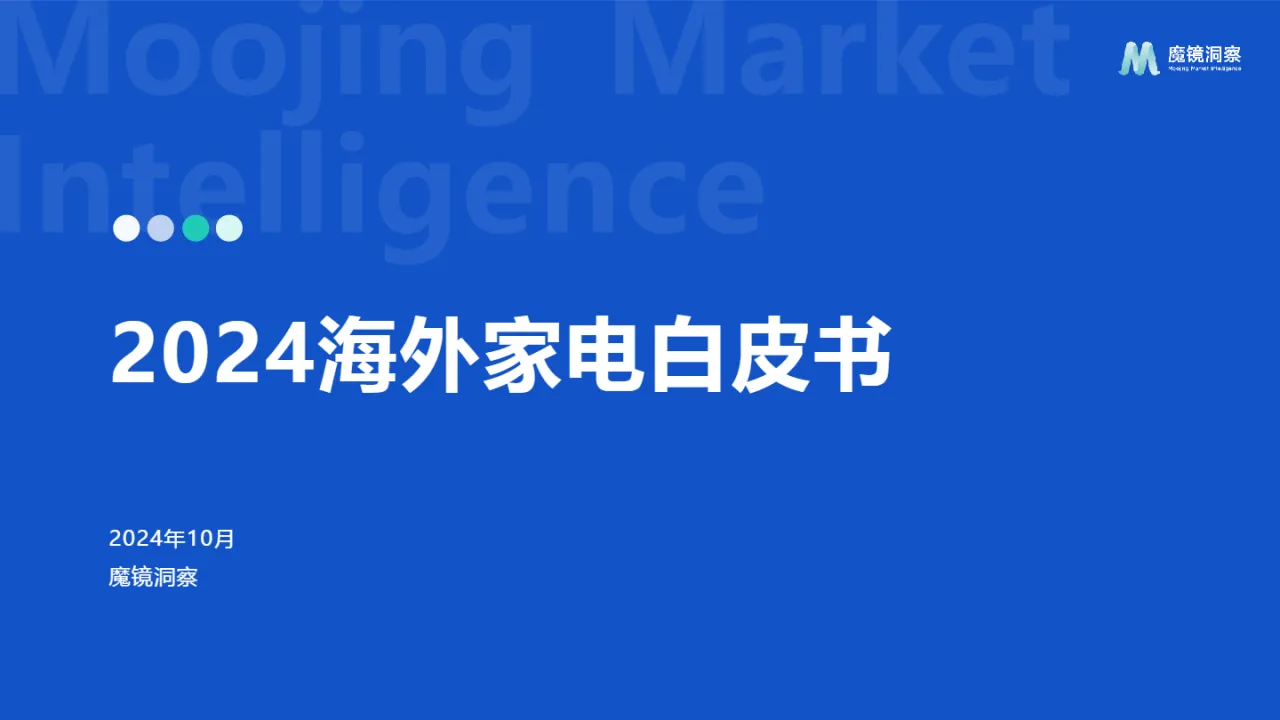 2024年海外家电白皮书_大数跨境