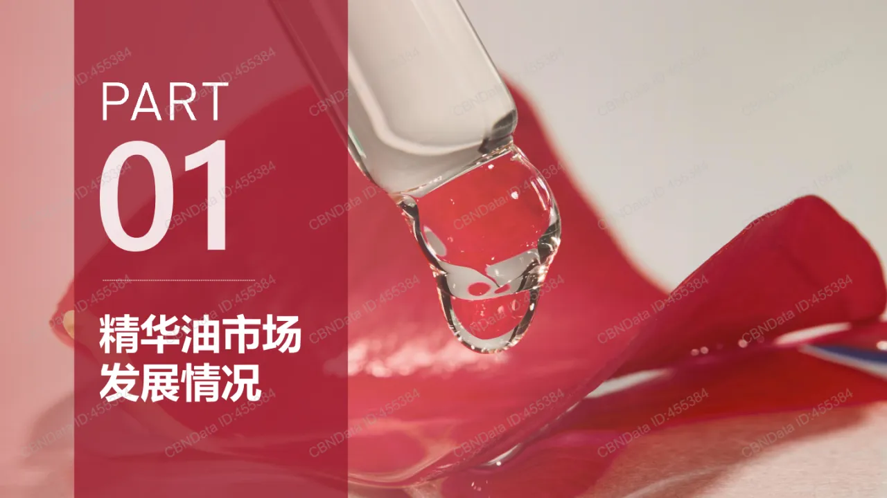 2023油类精华消费趋势洞察报告_大数跨境