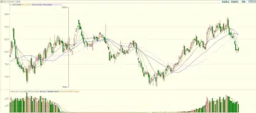 塑料：做多L-PP价差_174702