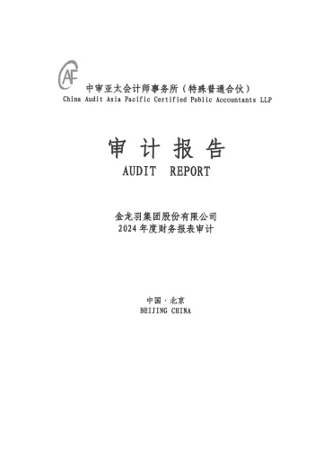 金龙羽：2024年年度审计