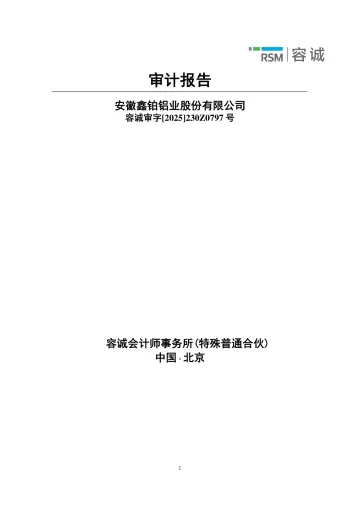 鑫铂股份：2024年年度审计