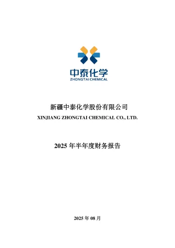 中泰化学：2025年半年度财务