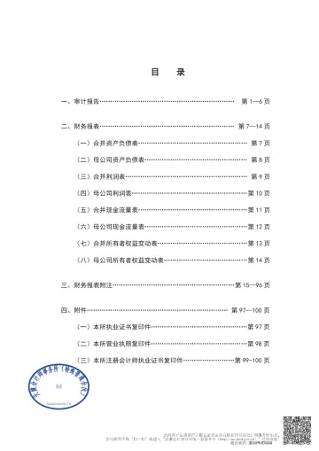 华源控股：2025年年度审计