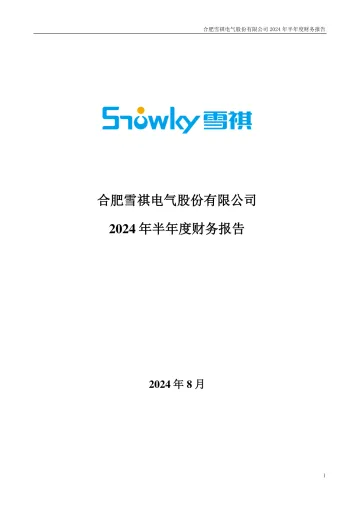 雪祺电气：2024年半年度财务