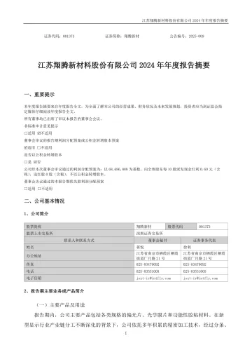 翔腾新材：2024年年度