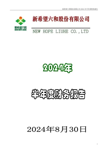 新 希 望：2024年半年度财务
