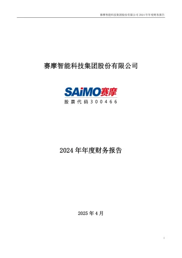 赛摩智能：2024年年度财务