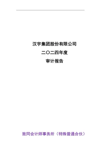 汉宇集团：2024年度审计