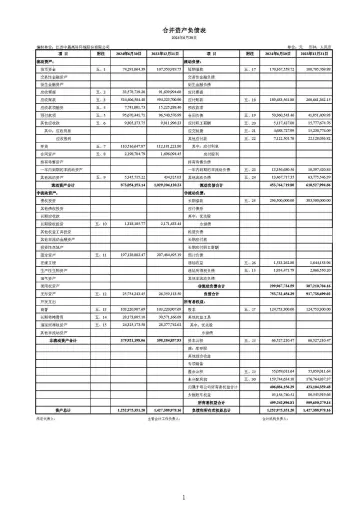 中晟高科：2024年半年度财务