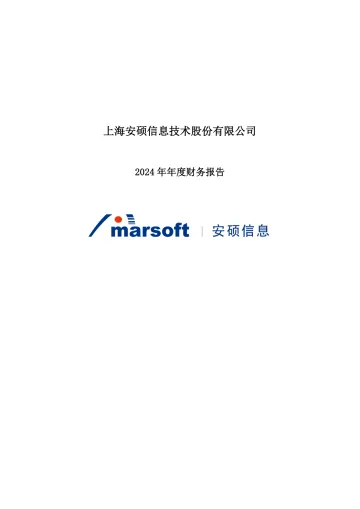 安硕信息：2024年年度财务