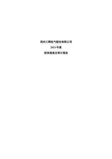 三晖电气：2024年年度审计