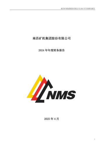 南矿集团：2024年年度财务