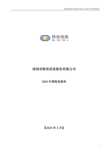 ST特信：2024年年度财务
