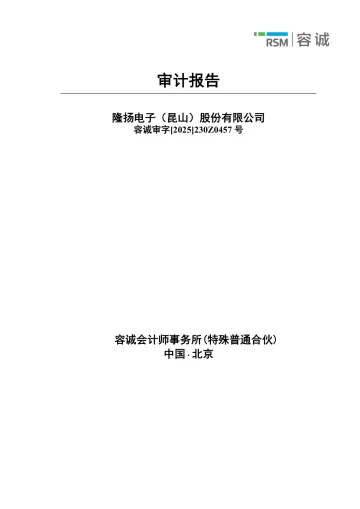 隆扬电子：2024年年度审计