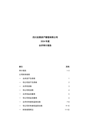 22川资01：四川发展资产管理有限公司2024年度合并审计