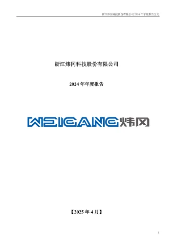 炜冈科技：2024年年度