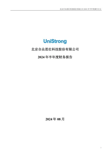 合众思壮：2024年半年度财务