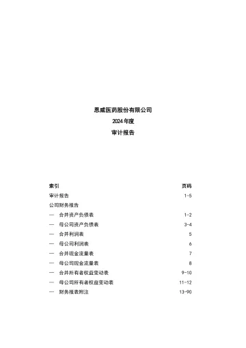 恩威医药：2024年年度审计