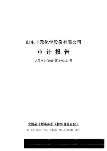 丰元股份：2024年年度审计