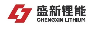 盛新锂能：2025年半年度财务