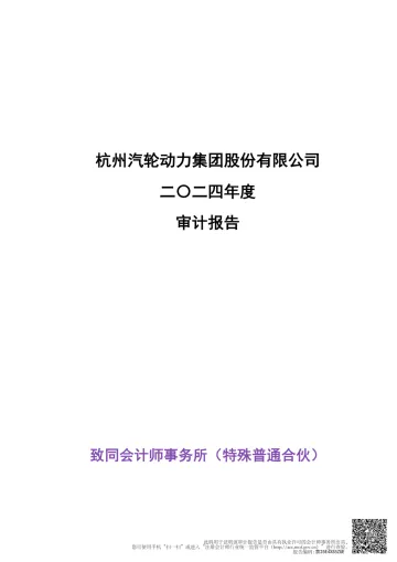杭汽轮Ｂ：2024年年度审计