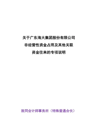海大集团：年度关联方资金占用专项审计