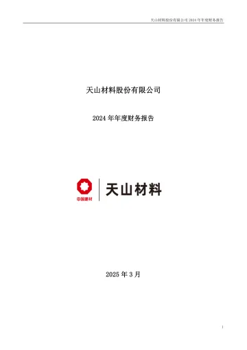 天山股份：2024年年度财务