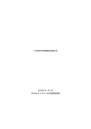 电声股份：2024年年度审计