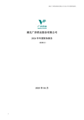 广济药业：2024年年度财务