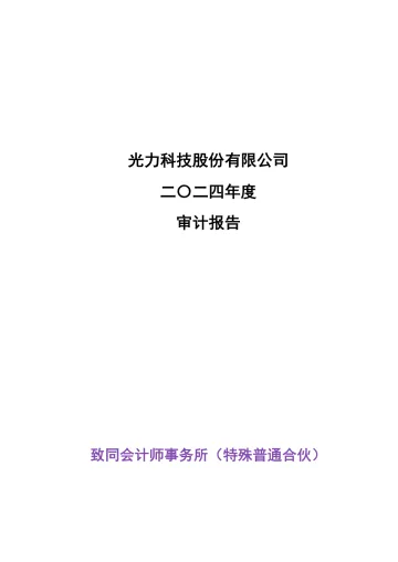 光力科技：2024年年度审计