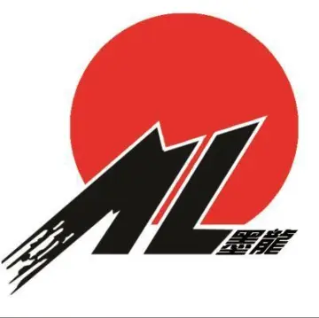 山东墨龙：2025年年度