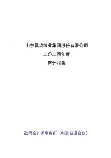 ST晨鸣：2024年年度审计