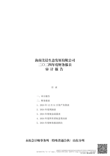 ST美晨：海南美晨生态发展有限公司2024年度财务报表审计