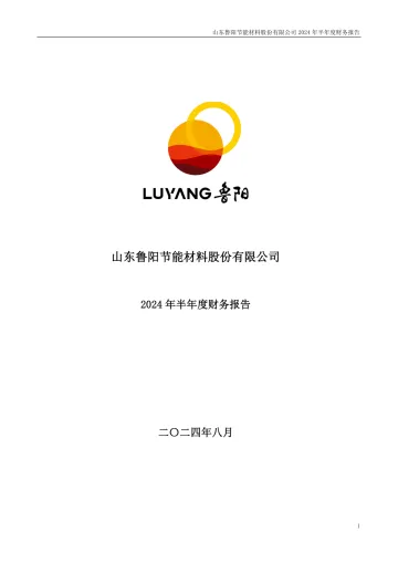 鲁阳节能：2024年半年度财务