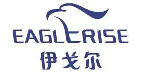 伊戈尔：2024年半年度财务