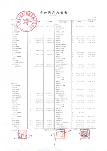 三羊马：2024年年度财务