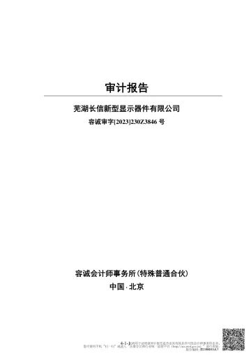 长信科技：芜湖长信新型显示器件有限公司审计