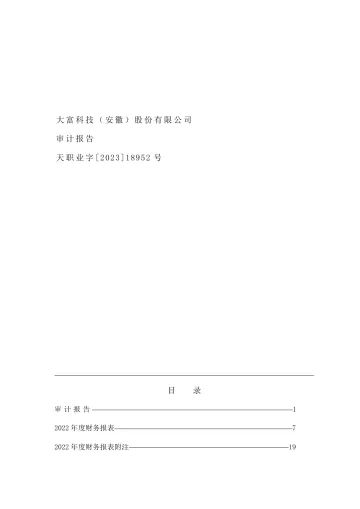 大富科技：2022年年度审计