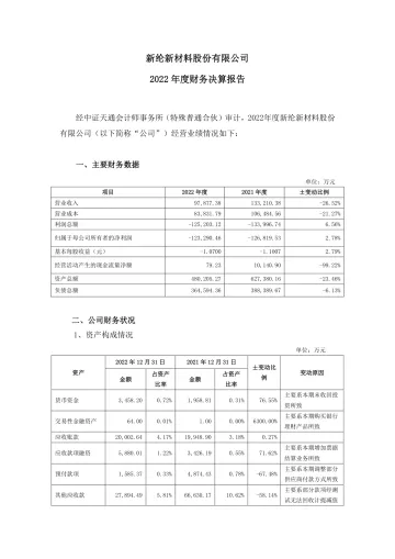 新纶新材：2022年年度财务