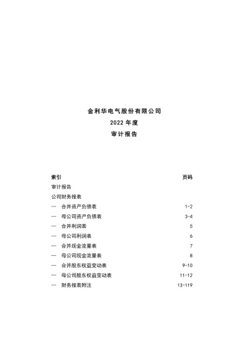 金利华电：2022年年度审计